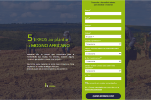 Erros na hora de plantar mogno africano