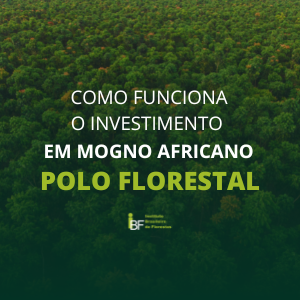 podcast-investimento-em-mogno-africano-no-polo-florestal